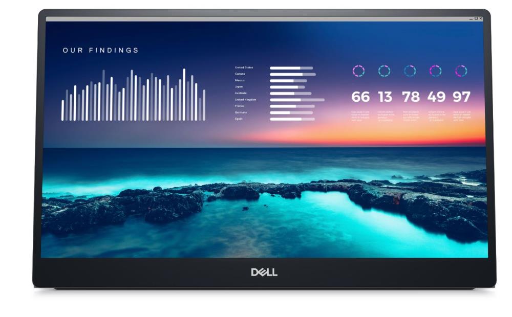 Monitor DELL P1424H 14   Panel IPS 1920x1080 16 9 Matte Tilt 210-BHQQ