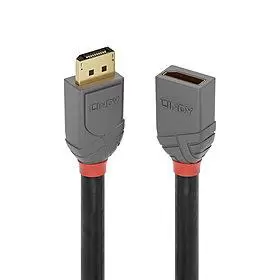 CABLE DISPLAY PORT EXTENSION 1M ANTHRA 36496 LINDY