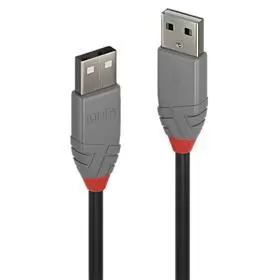 CABLE USB2 A-A 0 5M ANTHRA 36691 LINDY