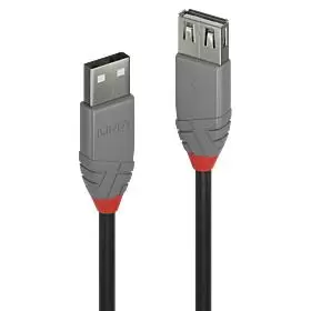 CABLE USB2 TYPE A 0.2M ANTHRA 36700 LINDY