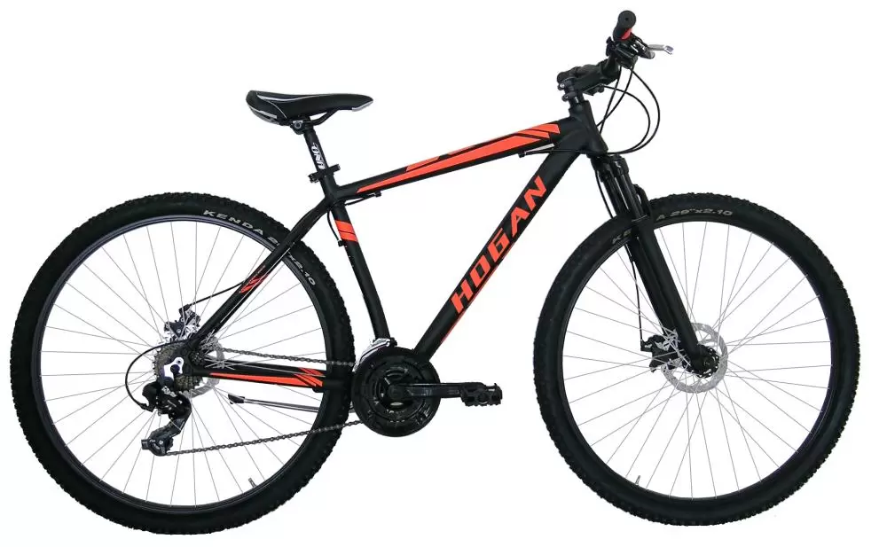 BICYCLE MTB R:29