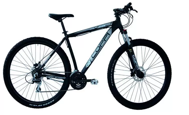 BICYCLE MTB R:29 