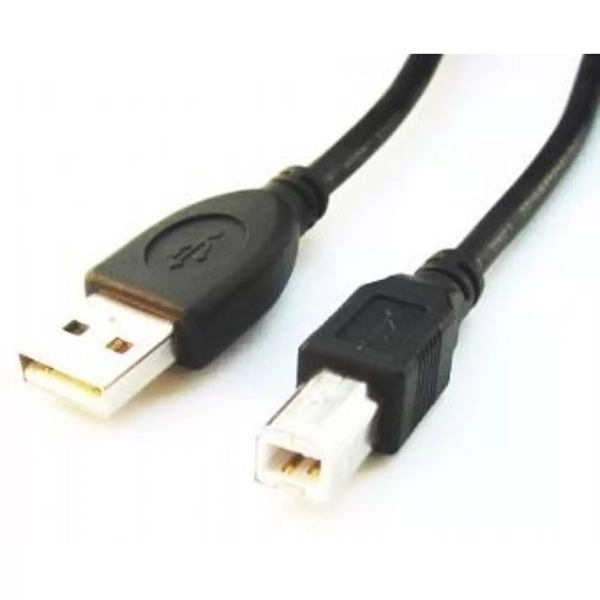 GEMBIRD CCP-USB2-AMBM-10 USB 2 0