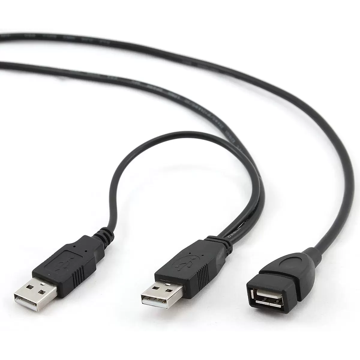 GEMBIRD CCP-USB22-AMAF-3 Dual US