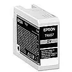 EPSON Singlepack Gray T46S7 UltraChrome
