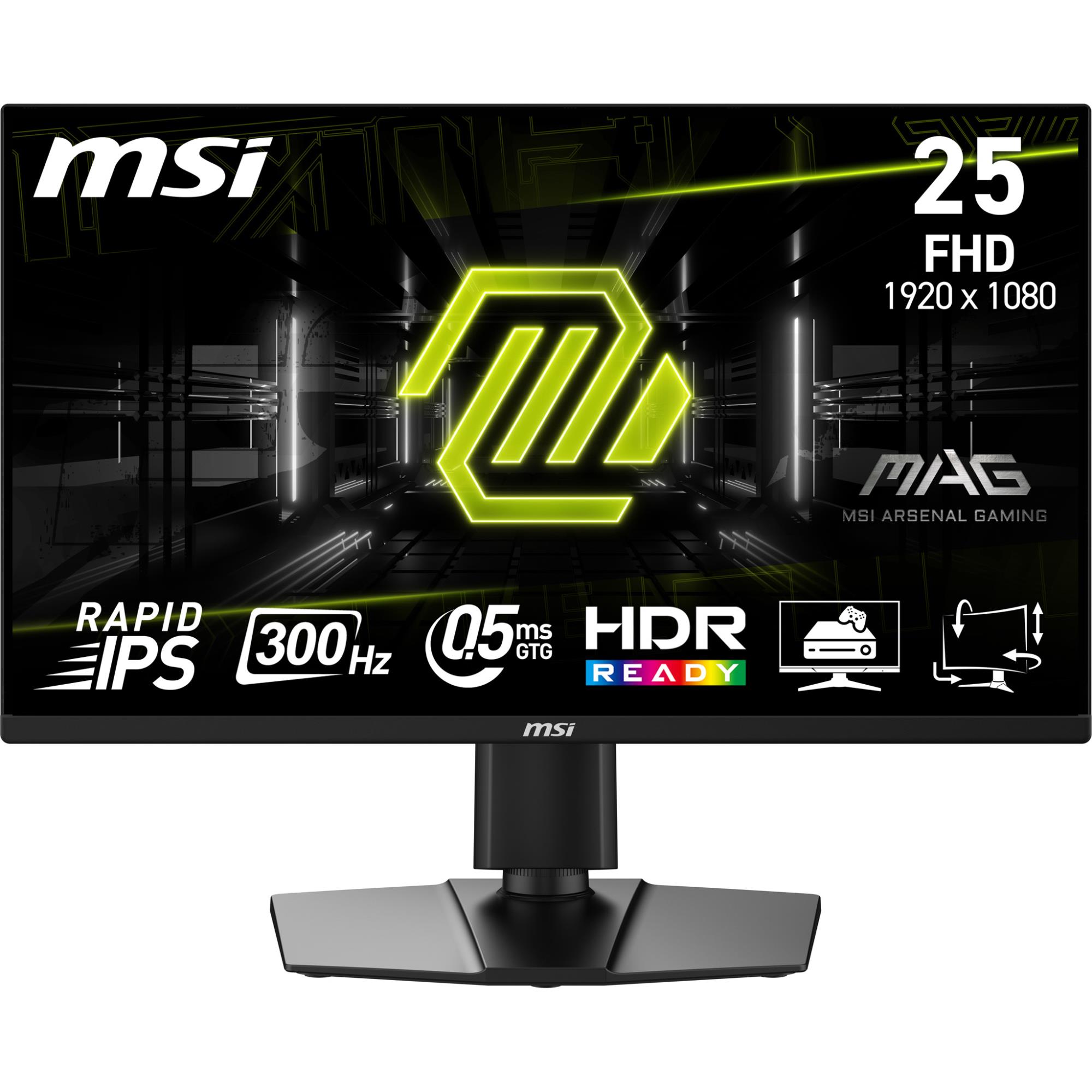 LCD Monitor MSI 24 5    1920 x 1080 pixels Full HD Native aspect ratio 16 9 Flat MAG255PXF