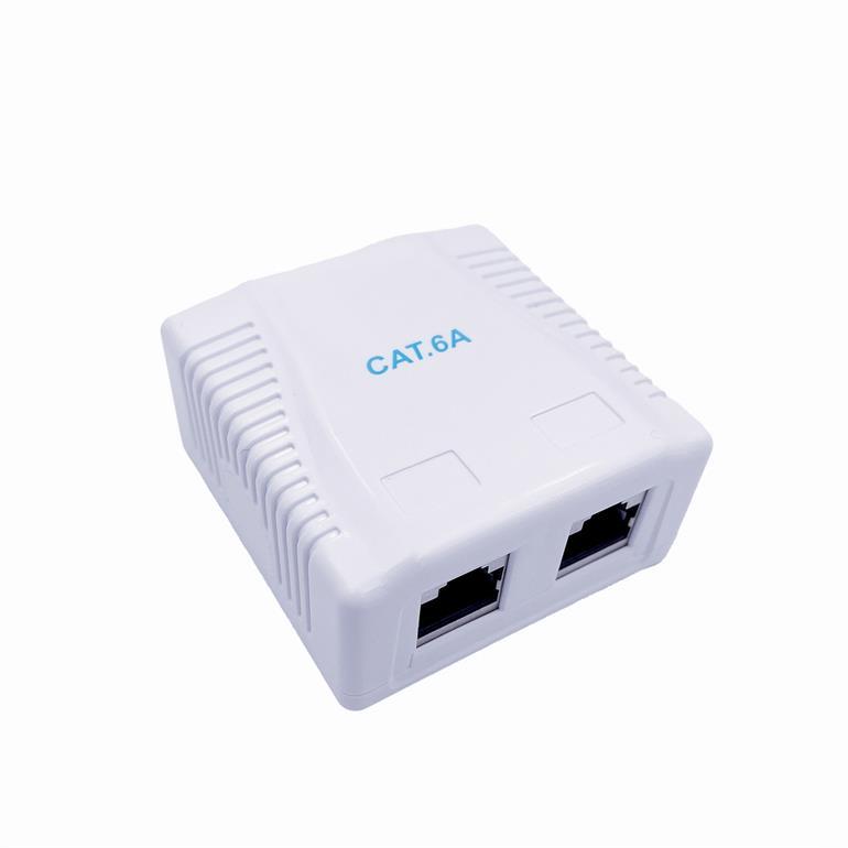 CABLE ACC MOUNT BOX CAT6A FTP 2P NCAC-2F6A-01 GEMBIRD