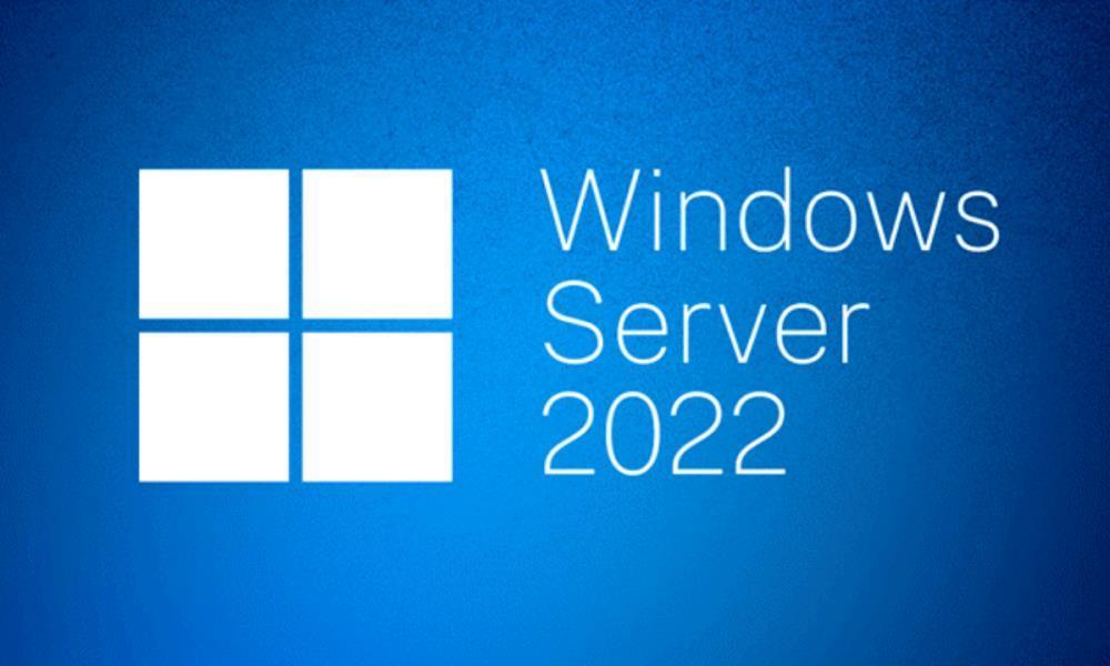 SW OEM WIN SVR 2022 STD ENG 64B 1PK 24CR P73-08346 MS