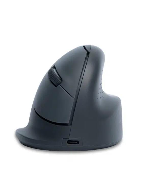 MOUSE USB OPTICAL WRL BASIC R  GREY RGOHEBAMRWL R-GO TOOLS